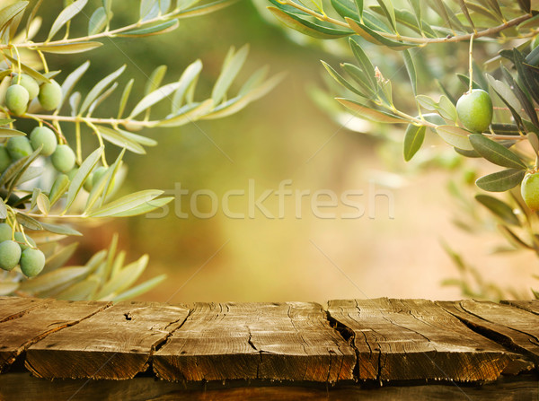 Stock photo: Olive trees with tabletop