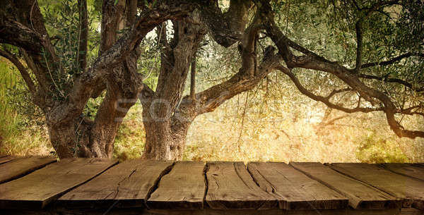 Oliveira tabela mesa de madeira madeira vazio montagem Foto stock © mythja