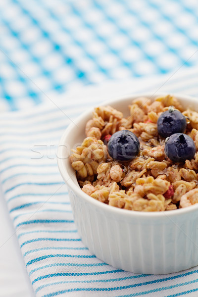 Tigela muesli café da manhã fruto mirtilos cereal Foto stock © mythja