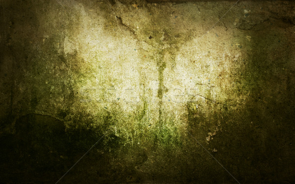 Grunge penész foltok absztrakt öreg fal Stock fotó © mythja