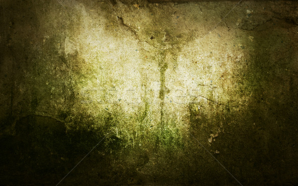 Grunge background with mould stains Stock photo © mythja