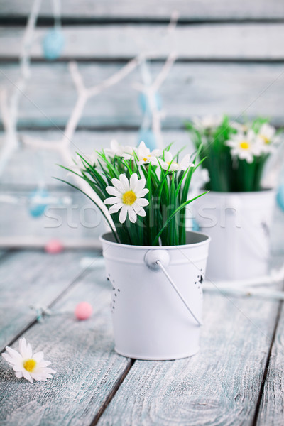 Primavera decoración decoración Daisy flores mesa Foto stock © mythja