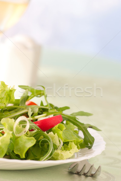 Vegetable salad Stock photo © mythja