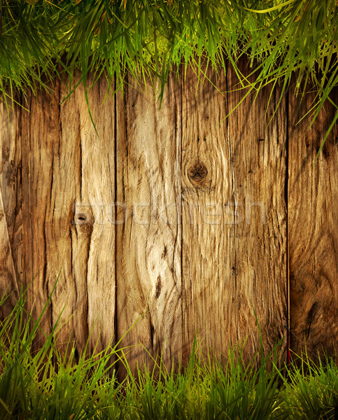 Frühling Gras Holz Natur Blume Textur Stock foto © mythja