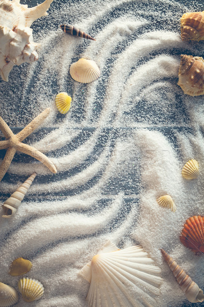 Lata biały piasek Rozgwiazda piasku wakacje Zdjęcia stock © mythja