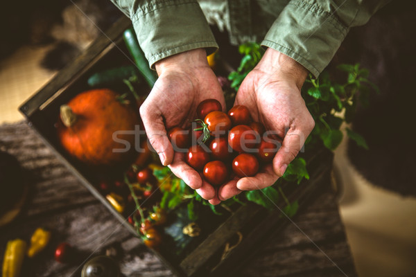 Foto stock: Orgánico · hortalizas · madera · agricultor · rústico