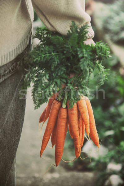 [[stock_photo]]: Fraîches · carottes · organique · légumes · aliments · sains