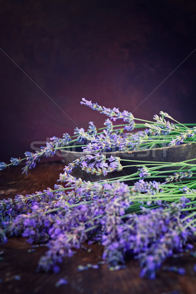 Frischen Lavendel Holz Sommer floral Blumen Stock foto © mythja