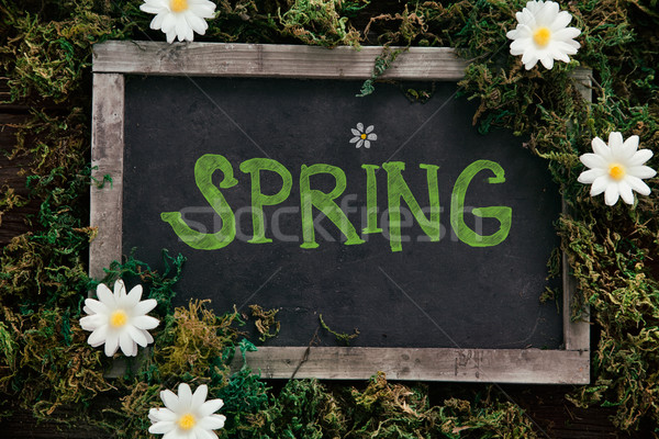 Spring background Stock photo © mythja