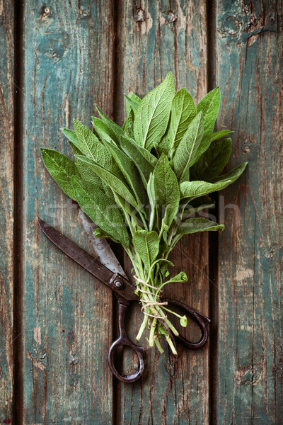 Fresh herbs Stock photo © mythja