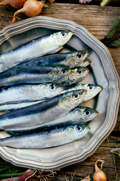 Fresh sardines Stock photo © mythja