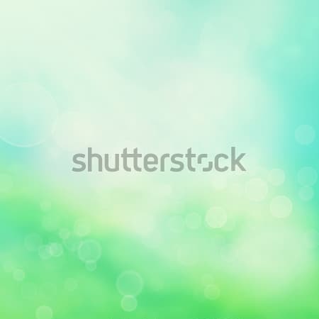 Spring or summer abstract nature background Stock photo © mythja