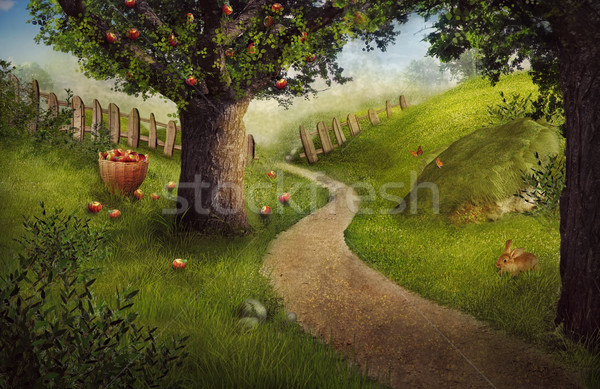 Nature design - apple orchard Stock photo © mythja