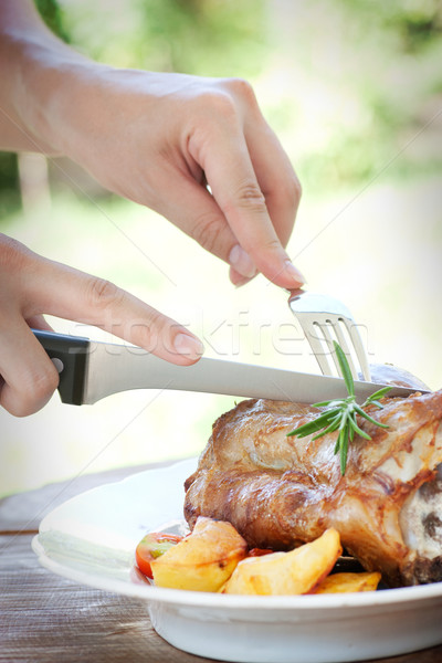 Pörkölt sült borjúhús finom étel kéz Stock fotó © mythja