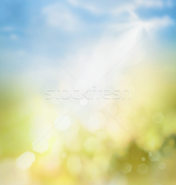 Wiosną streszczenie bokeh lata charakter trawy Zdjęcia stock © mythja