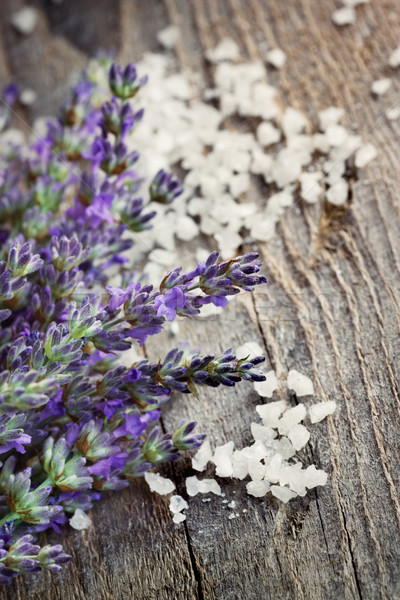 Frischen Lavendel spa Holz Design Stock foto © mythja