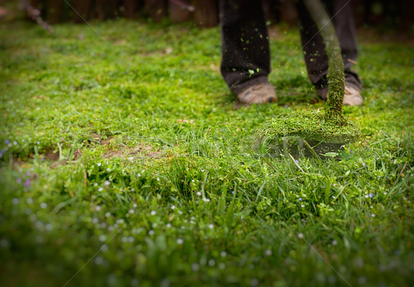 Garden work  Stock photo © mythja