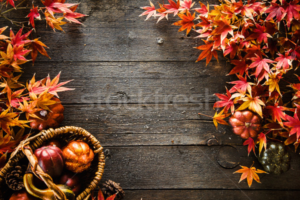 Stock fotó: őszi · levelek · ősz · piros · levelek · fa · természet