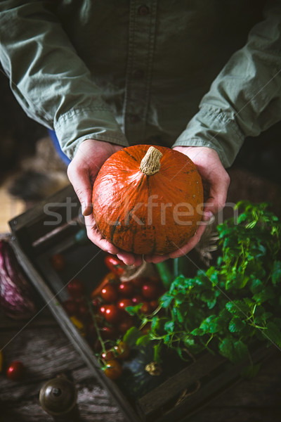 Organic vegetables on wood Stock photo © mythja