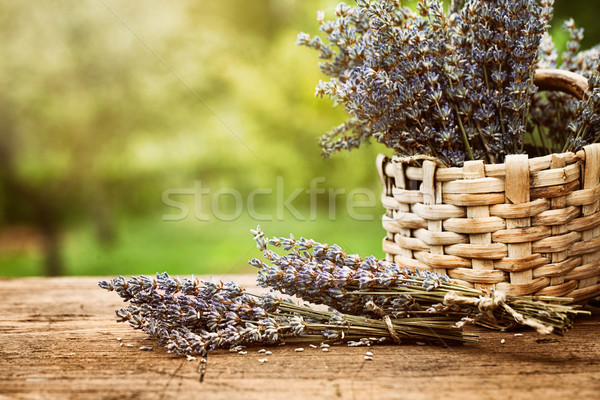 Lavender Stock photo © mythja