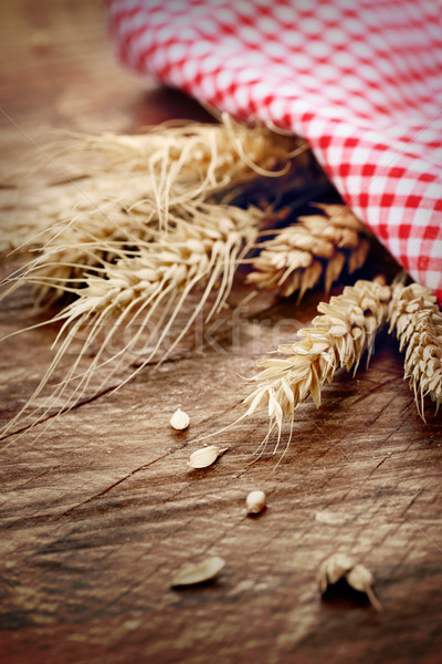 小麥 食品 木 性質 美女 夏天 商業照片 © mythja
