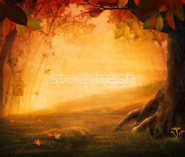 Najaar ontwerp bos vallen vallei champignons Stockfoto © mythja