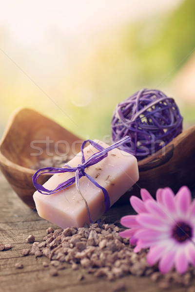 violet dayspa nature set Stock photo © mythja