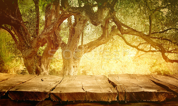Tabeli drzewo oliwne drewniany stół drewna pusty montaż Zdjęcia stock © mythja