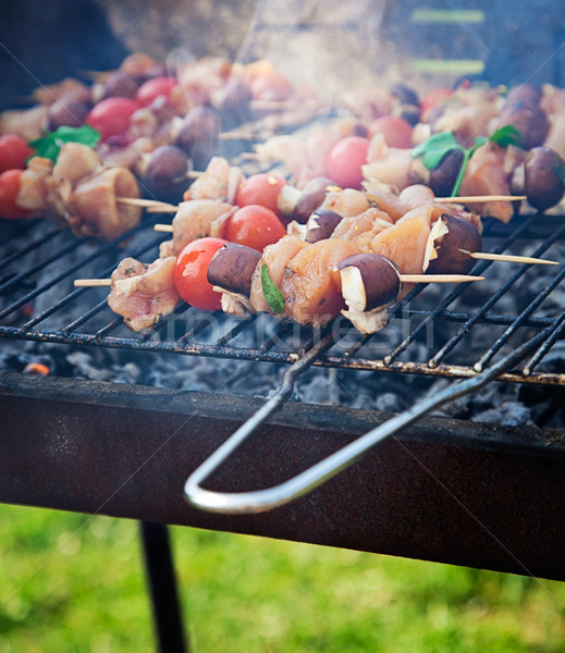 Printemps barbecue poulet légumes jardin fête Photo stock © mythja
