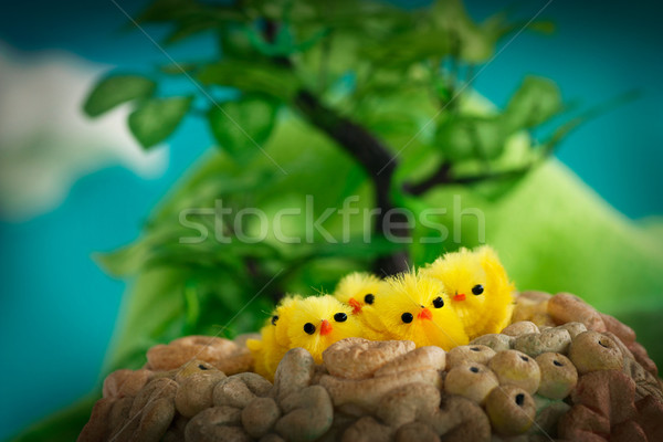 Foto stock: Páscoa · garotas · amarelo · primavera · vale · flor