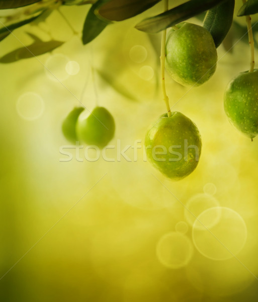 Stok fotoğraf: Zeytin · dizayn · yaz · taze · zeytin · şube