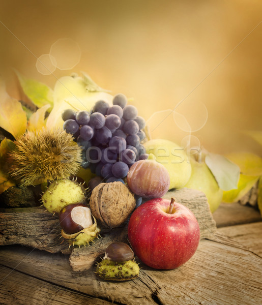 Autumn fruit Stock photo © mythja