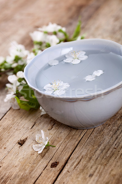 Bienestar productos spa floral toalla beige Foto stock © mythja