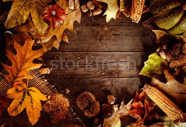 Danksagung Abendessen Herbst Obst Holz Kopie Raum Stock foto © mythja