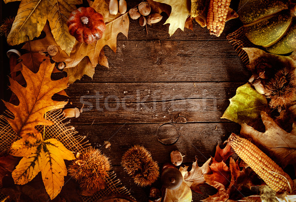 Thanksgiving dinner Stock photo © mythja