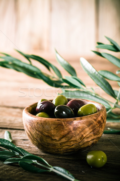 Olives on branch Stock photo © mythja