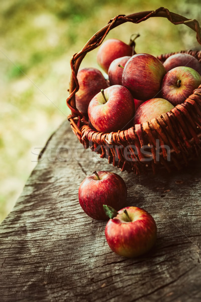 Stock fotó: Frissen · szőlő · friss · aratás · almák · fából · készült