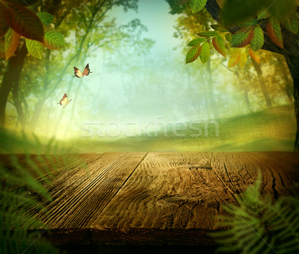 Foto stock: Primavera · diseno · forestales · mesa · de · madera · madera · mariposa