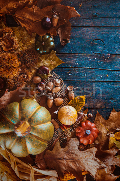 Action de grâces dîner automne fruits plaque coutellerie [[stock_photo]] © mythja