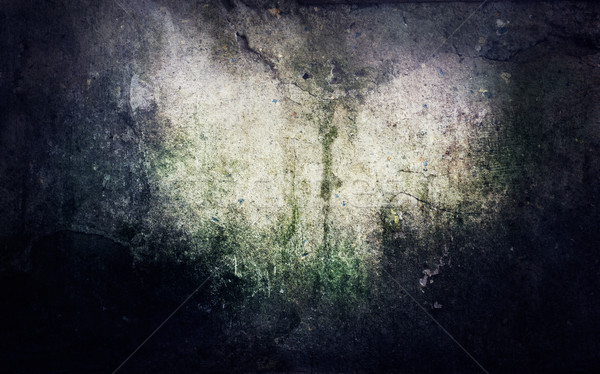 Grunge penész foltok absztrakt öreg fal Stock fotó © mythja
