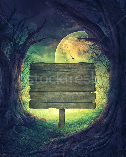 Halloween Wald Design Herbst Stock foto © mythja