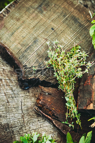 Fresco ervas madeira culinária ingredientes rústico Foto stock © mythja