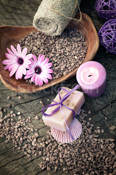 Stock photo: violet dayspa nature set