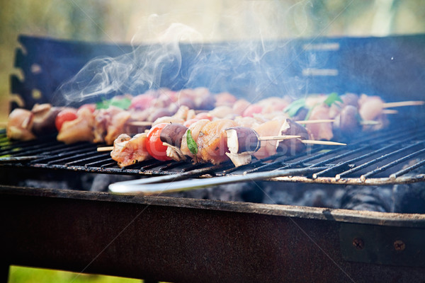 Stockfoto: Voorjaar · barbecue · kip · groenten · tuin · partij