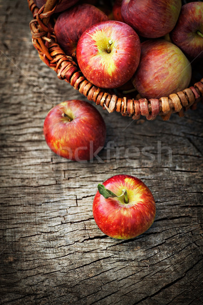Frissen szőlő friss aratás almák természet Stock fotó © mythja