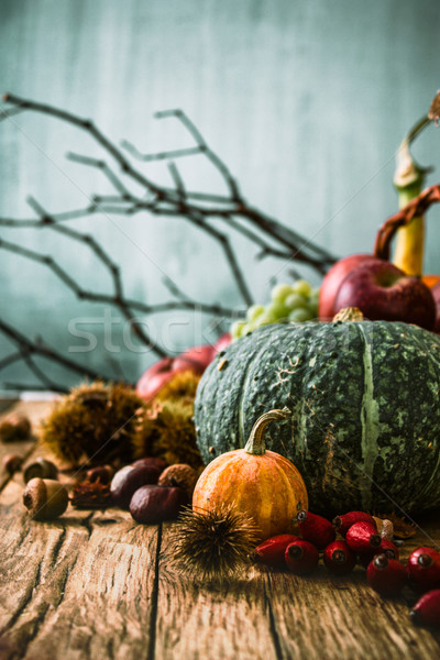 Stock fotó: ősz · gyümölcs · hálaadás · szezonális · természet · fa