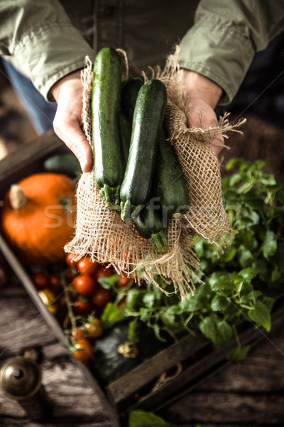 Organikus zöldségek fa gazda tart rusztikus Stock fotó © mythja