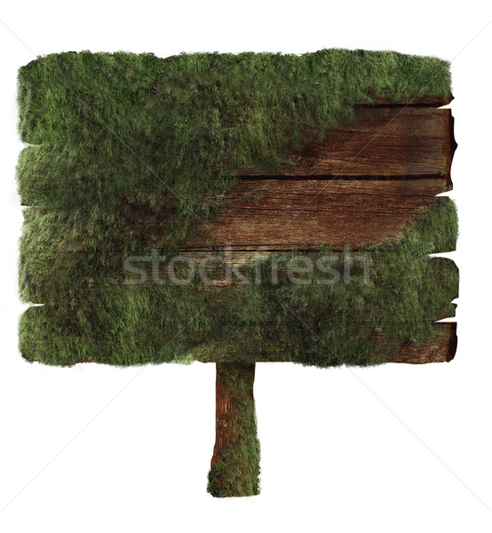 Stockfoto: Gedekt · mos · geïsoleerd · witte · hout