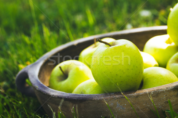 Appels organisch mand zomer gras vers Stockfoto © mythja