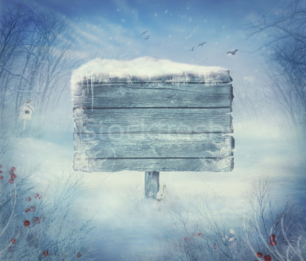 Stock photo: Winter design - Christmas valley with sign